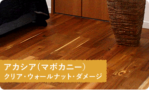 アカシア（マホガニー）の床材