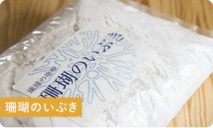 珊瑚のいぶきの壁材